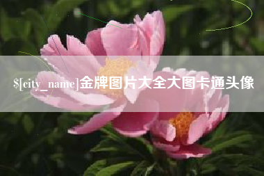武汉金牌图片大全大图卡通头像
