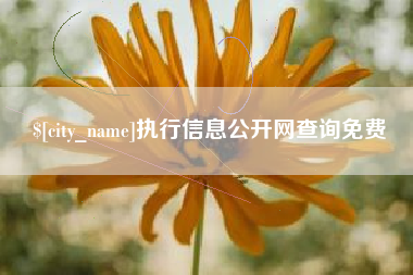 武汉执行信息公开网查询免费
