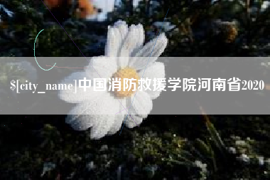 武汉中国消防救援学院河南省2020